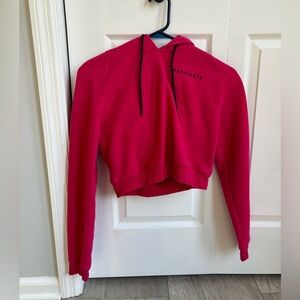 Alphalete cropped hoodie